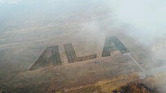 "Самое большое слово из деревьев". В Алматы собираются установить рекорд Гиннесса