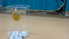 Грубых нарушений на избирательных участках не зафиксировали – МВД