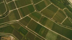 Земельные участки на 3 млрд тенге вернули государству в Шымкенте