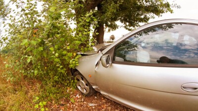Lada врезалась в дерево: четыре человека погибли в ДТП в Алматы
