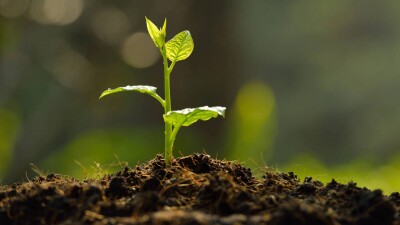 Экологические преступления в Казахстане: на что чаще всего покушаются нарушители