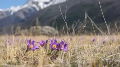 Март в Астане начнётся с морозов и закончится потеплением