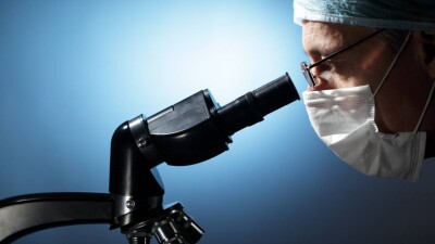 Учёным удалось создать человеческие эмбрионы искусственным способом