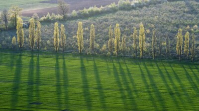 Прокуроры вернули в госфонд земли на 170 млн тенге в Жетысуской области