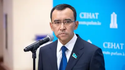 "Пусть конкурируют". Ашимбаев поддержал появление новой партии