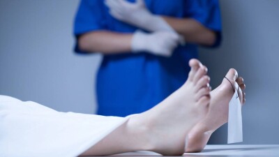 Давка на крупнейшем фестивале мира в Индии: число погибших возросло до 40