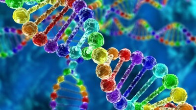 Учёные создали революционный ИИ для диагностики редких наследственных заболеваний