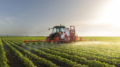 В Казахстане выделили 30 млрд тенге на погашение задолженности по субсидиям животноводам