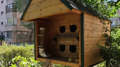 20 домиков с кормушками для кошек установили в Алматы