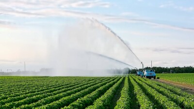 Прекращение подачи воды из Кыргызстана: урожай не удалось сохранить на 560 га в Жамбылской области