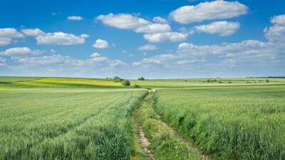 Выплаты за переезд в село могут увеличить в Казахстане