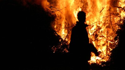 В Лос-Анджелесе местный житель c посудой в руках спас свою улицу от пожара