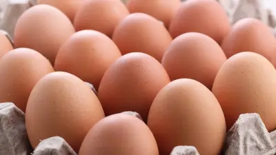 Продлить запрет на ввоз куриных яиц планируют в Казахстане