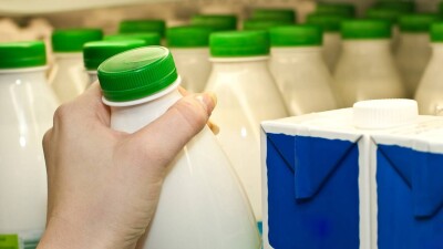 Акимат 3 года не мог найти земли для инвестора в Жамбылской области. Прокуроры их нашли и предоставили за месяц