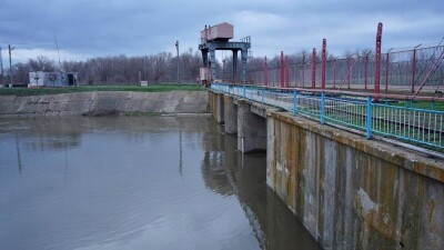 "Здесь не было воды 20 лет". Положительные стороны рекордного паводка обнаружили в ЗКО