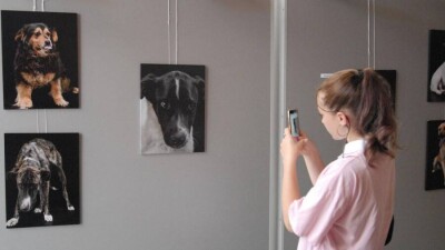 В Нур-Султане пройдёт благотворительная фотовыставка "Лучший друг"