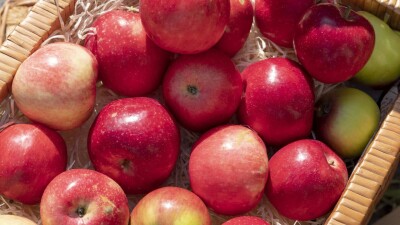 Запрет на ввоз яблок вступил в силу в Казахстане. Как долго он продлится?