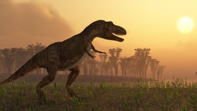 Учёные нашли в Чили кости пернатых динозавров и огромных доисторических хищников