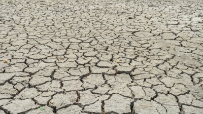 "Ужасные последствия". Учёные спрогнозировали достижение климатического порога в 1,5°С в 2029 году