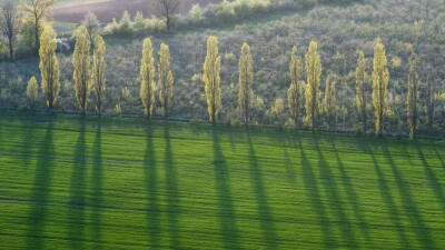 Чиновника в Туркестанской области подозревают в незаконной регистрации земли стоимостью 326 млн тенге