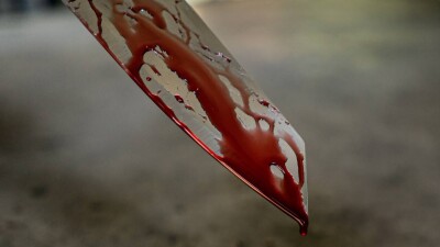 Чтобы инсценировать собственную смерть, жительница Германии убила своего двойника в Instagram