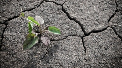 На саммите COP27 договорились о создании фонда помощи бедным странам, пострадавшим от катаклизмов