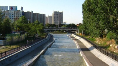 Сальмонеллу редких групп обнаружили в Большой Алматинке