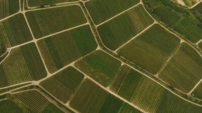 Государству вернули 116 гектаров земли кадастровой стоимостью более 1 млрд тенге в Шымкенте