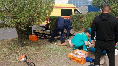 "Люлька коснулась электролиний". Троих человек ударило током при обрезке деревьев в Павлодаре