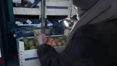 19 тонн груш из Бельгии развернули на границе Казахстана