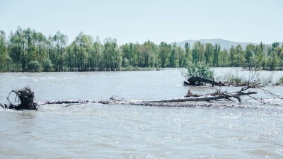 Пик паводков пройден в большинстве регионов Казахстана