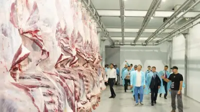 Минсельхоз опроверг сообщения о запрете экспорта казахстанской говядины