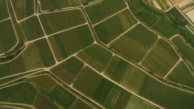 В Казахстане в собственность государства вернули 8 млн гектаров неиспользуемых земель