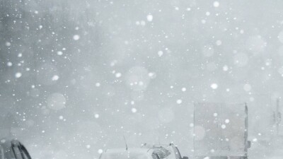 Буран повалил новогоднюю ёлку в Костанайской области