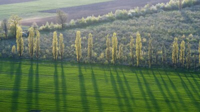 Земельные участки стоимостью 7 млрд тенге вернули государству в Алматинской области