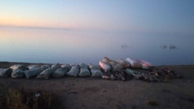 Крупнейший случай рыбного браконьерства за пять лет произошёл в нацпарке "Бурабай"
