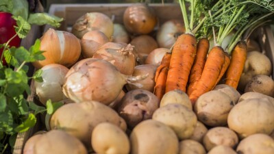 Производители сельскохозяйственной продукции могут потерять право на субсидии в Казахстане