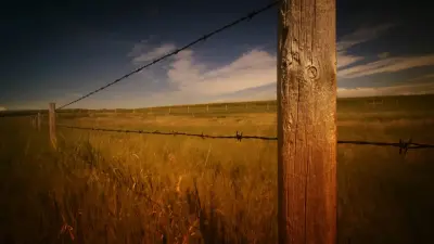 25 лет в частной собственности: землю оборонного назначения в Шымкенте возвращают государству