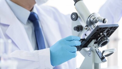 Великобритания отказала во въезде более чем 1000 иностранных учёных и аспирантов