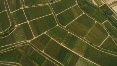 11 уголовных дел о незаконной выдаче земельных участков закрыли из-за отсутствия состава преступления