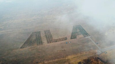 "Самое большое слово из деревьев". В Алматы собираются установить рекорд Гиннесса