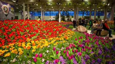 Ярмарка к 8 Марта пройдёт в Астане: фермерские продукты и цветы будут продавать два дня