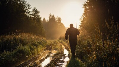 Сотни тысяч гектаров земли обанкротившейся компании вернули государству в Костанайской области
