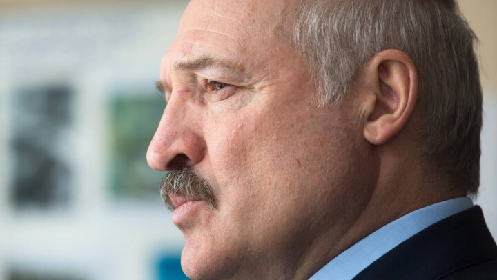 Лукашенко о выборах президента Беларуси: Если честно, не слежу