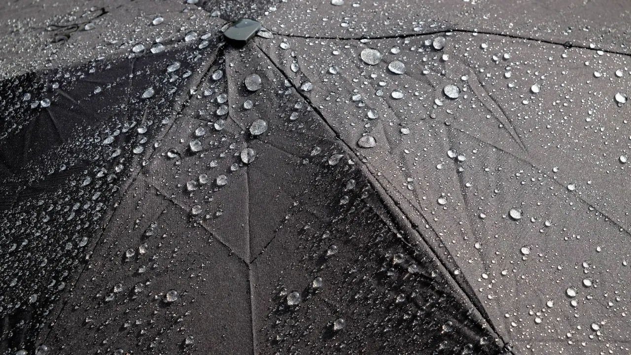 Фото Depositphotos.com