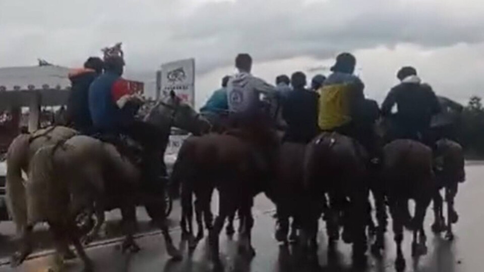 10 человек сыграли в кокпар на Кульджинском тракте в Алматы