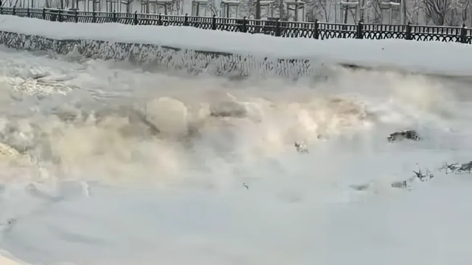 Кадр видео