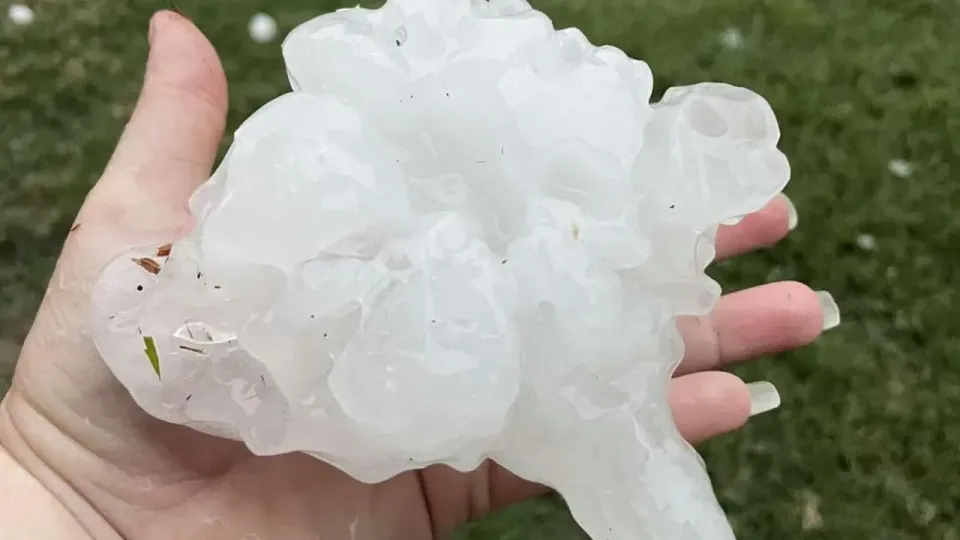 Градина, обнаруженная в пригороде Брисбена / Фото Higgins Storm Chasing