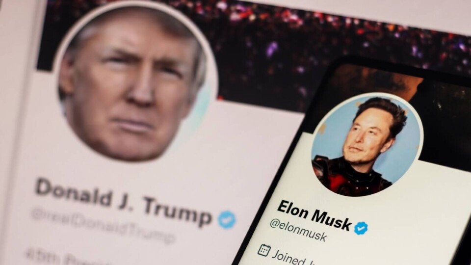 Трамп назначил Илона Маска руководителем нового департамента эффективности правительства