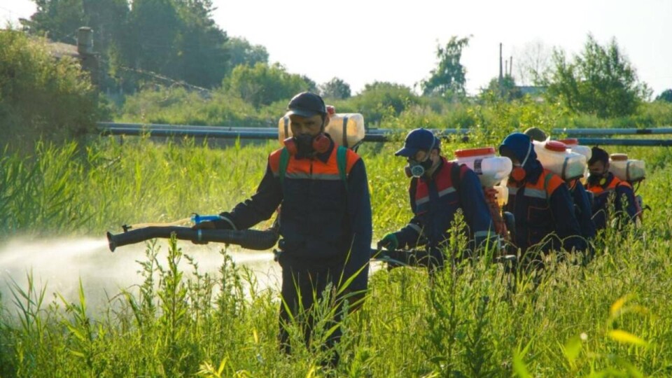Почему астанчанам рекомендуют не гулять в скверах и закрывать окна вечерами